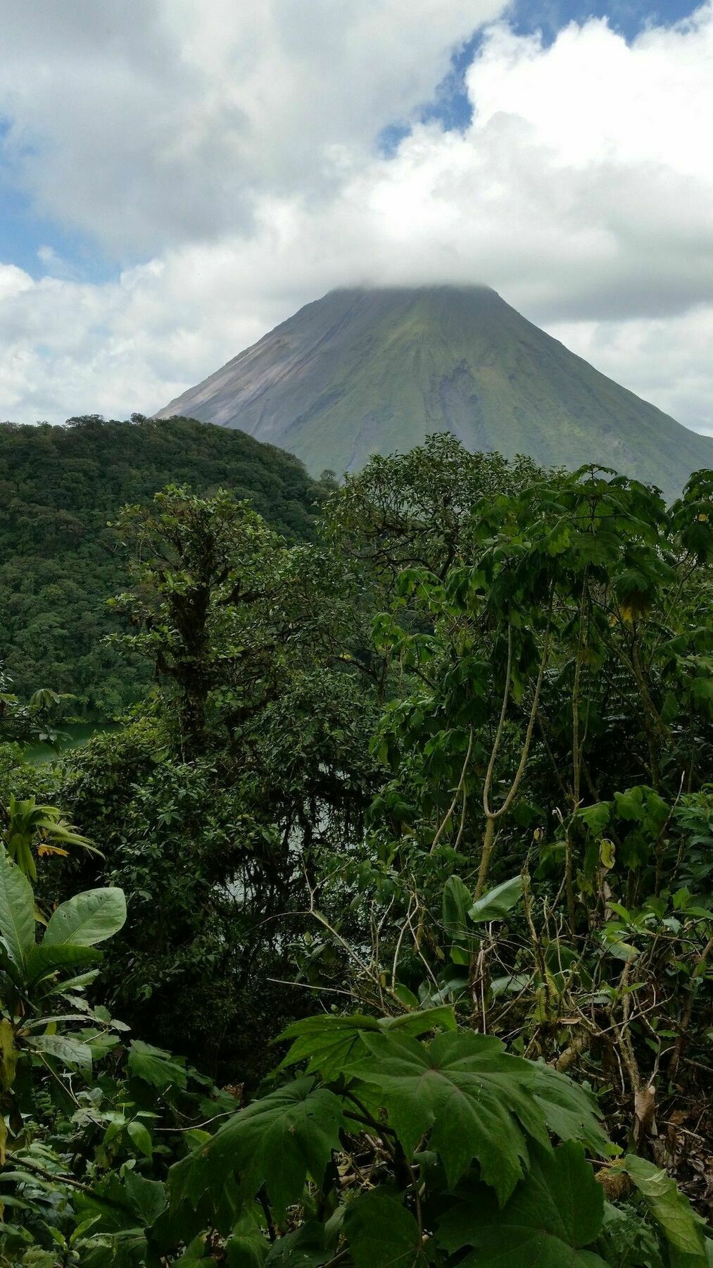Tifakara Boutique Hotel & Birding Oasis La Fortuna Exterior foto